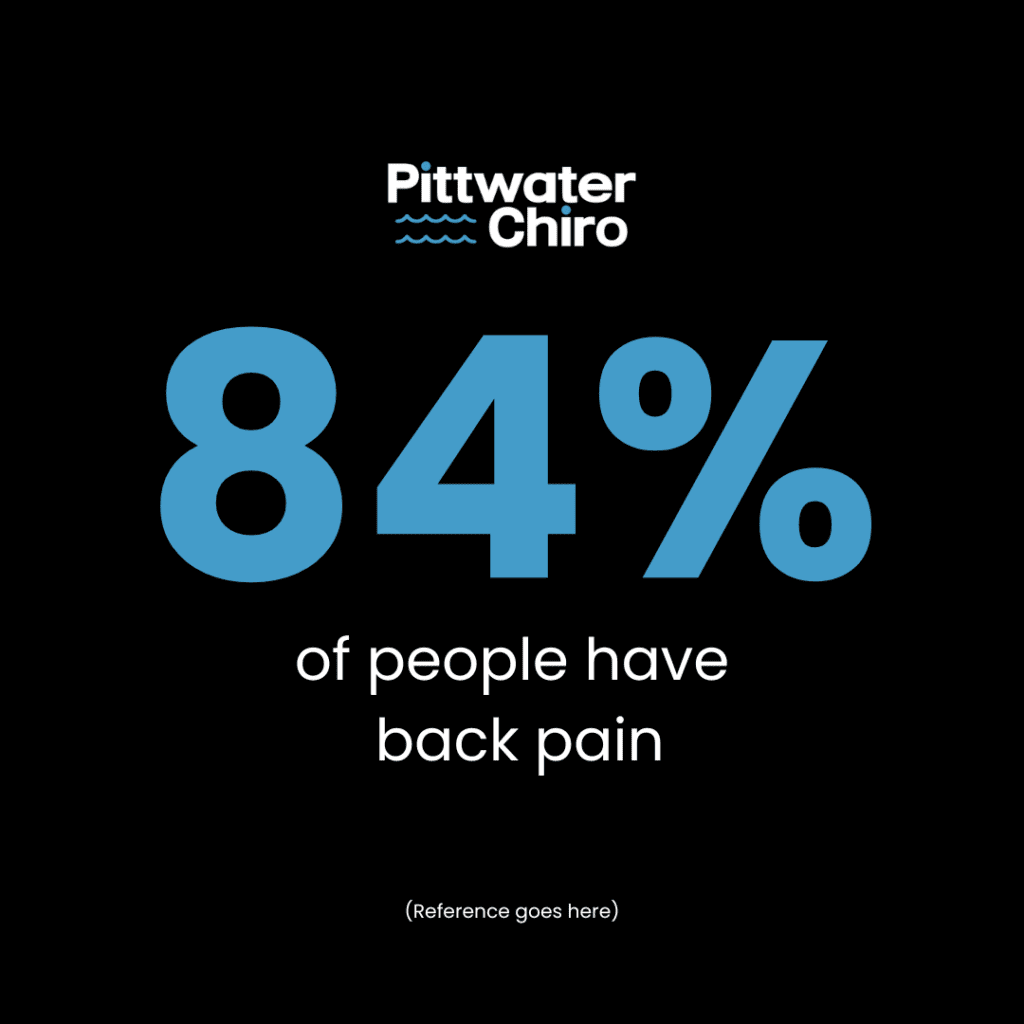 Pittwater Chiro 84% people have back pain